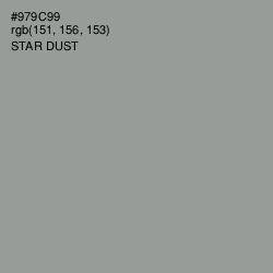 #979C99 - Star Dust Color Image